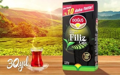 Direk Bağlanma siteleri müşteri hizmetlerine bağlanma